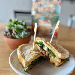 Chicken Panini At Cha Coffee Stop